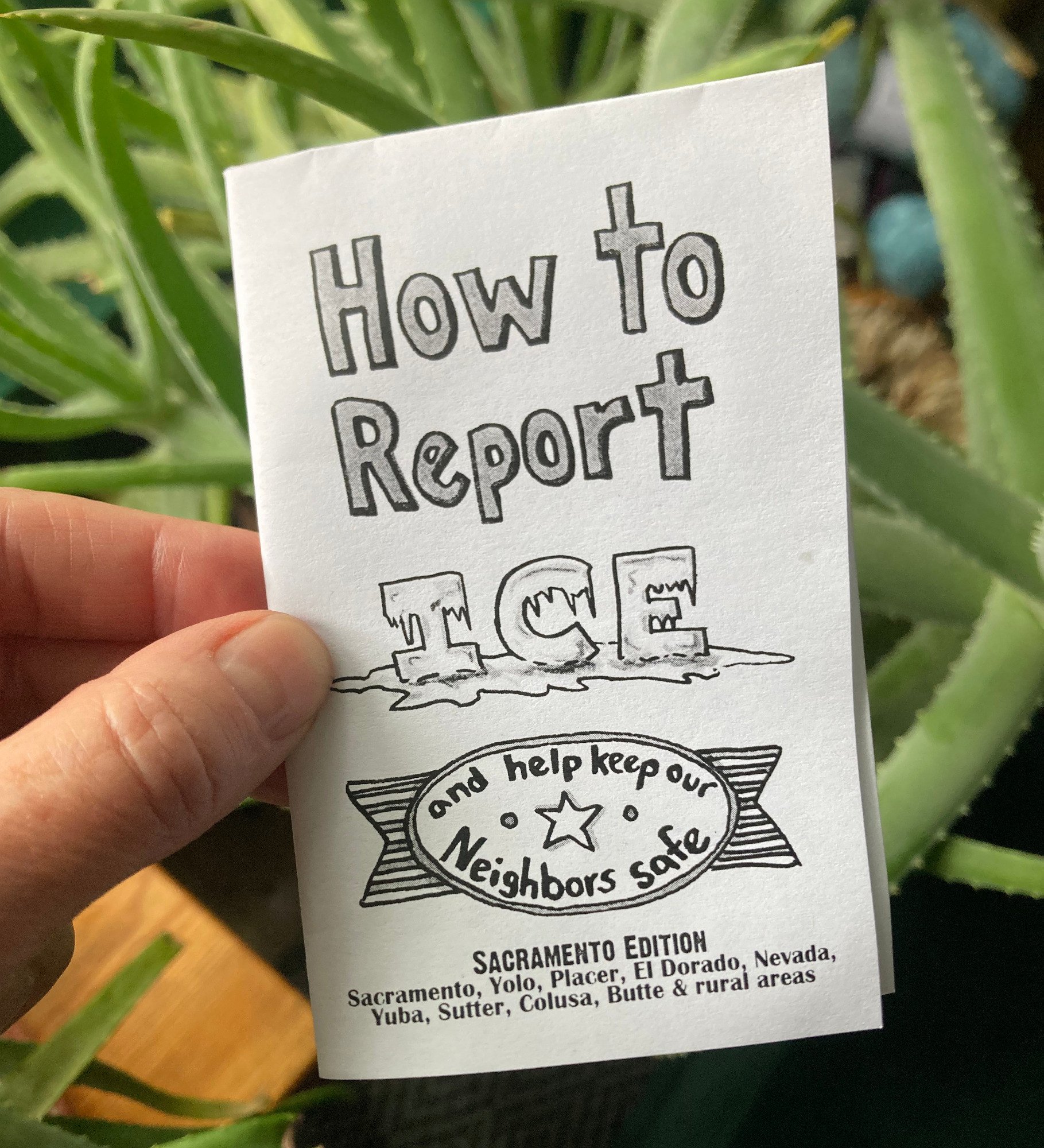 How to report I.C.E. Zine Bash